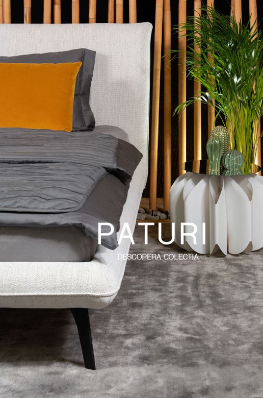 Paturi