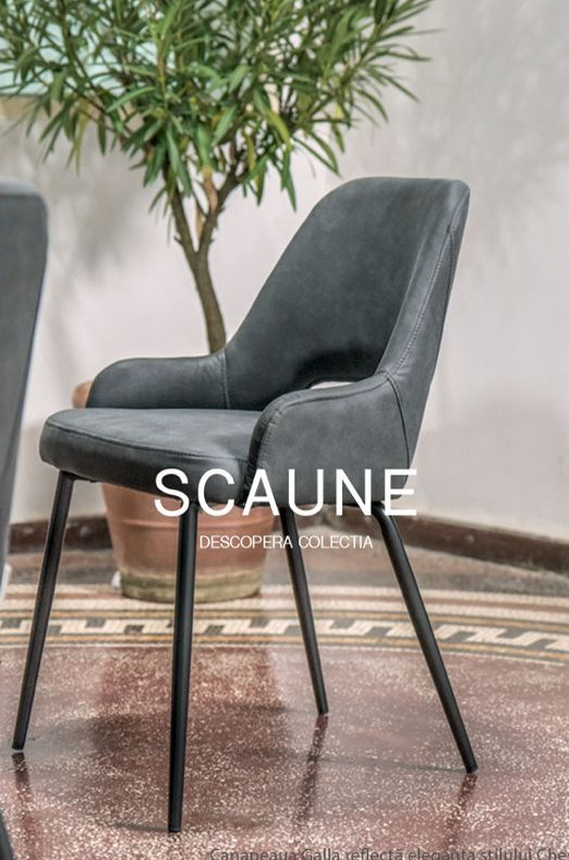 Scaune